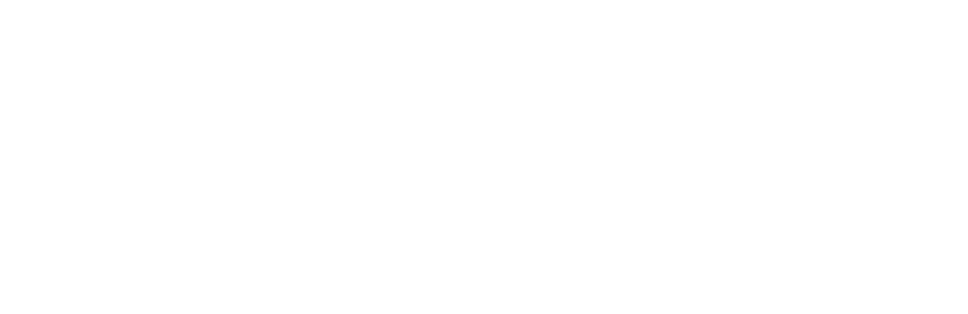 se-logo1-white